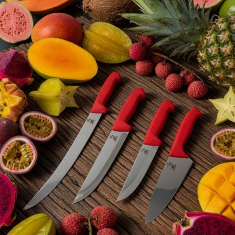 Kasap Seti Vibroks Sap